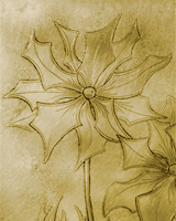 Eringi