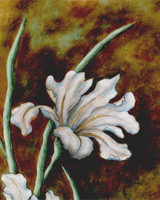 Fiori