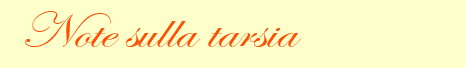 Note sulla tarsia